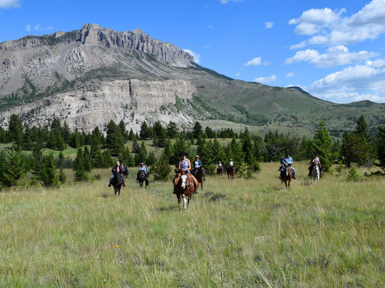 Horseback Riding