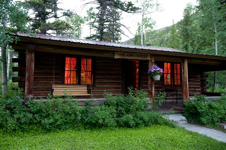 Homesteader Cabin
