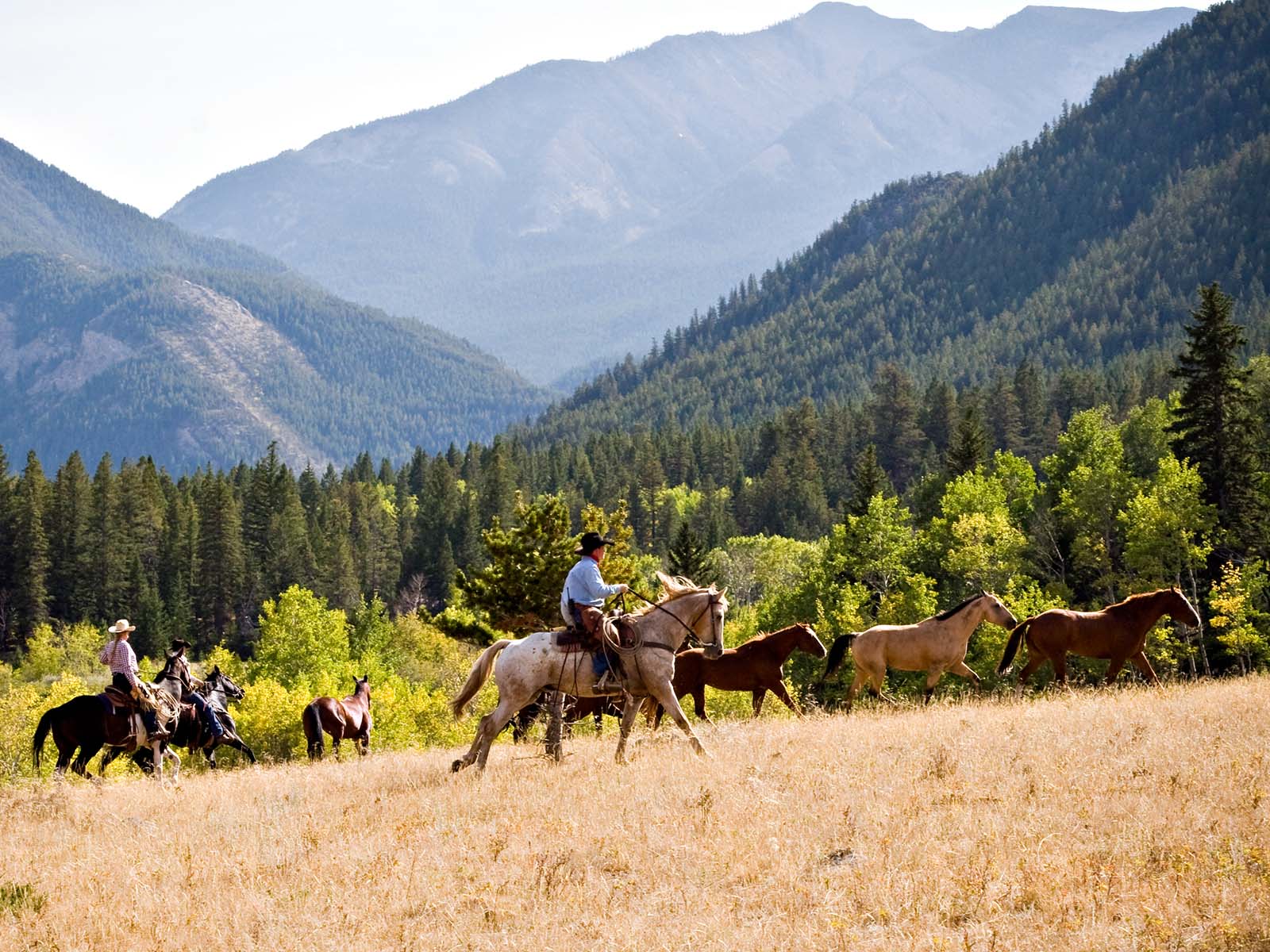 Horseback Riding Chris