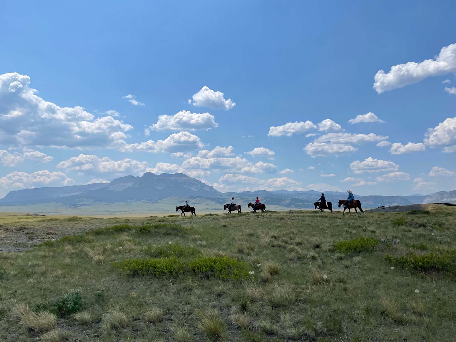 Horseback Riding Riders at Prairie