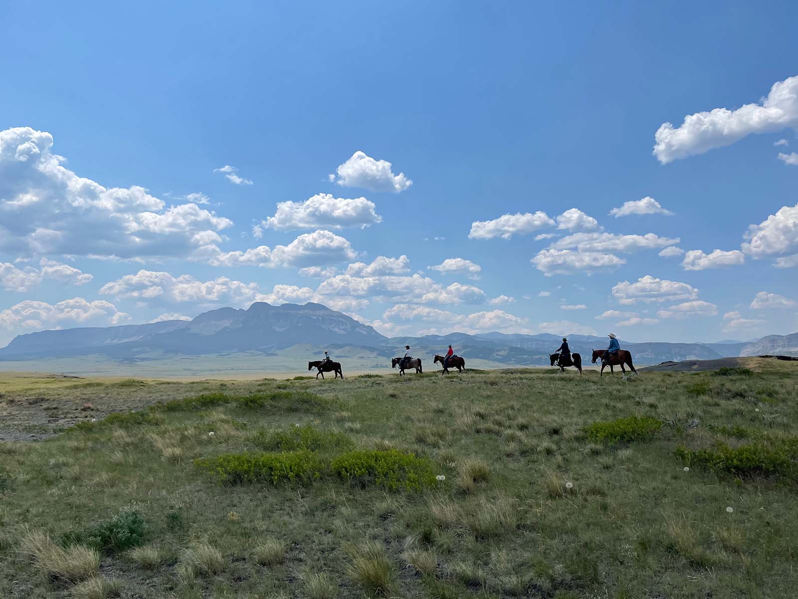 Horseback Riding Riders at Prairie
