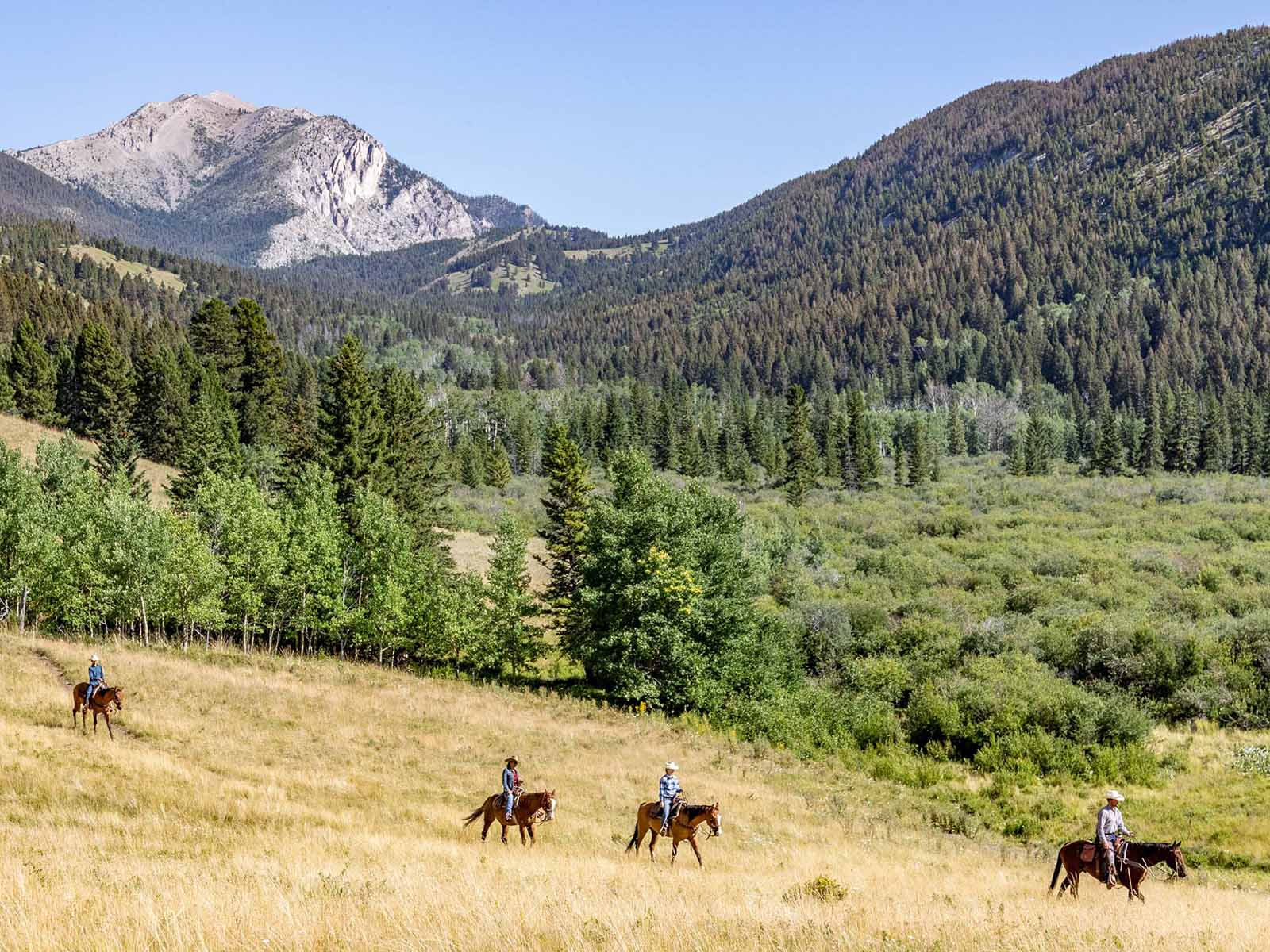 Horseback Riding Riders in Lower Pasture