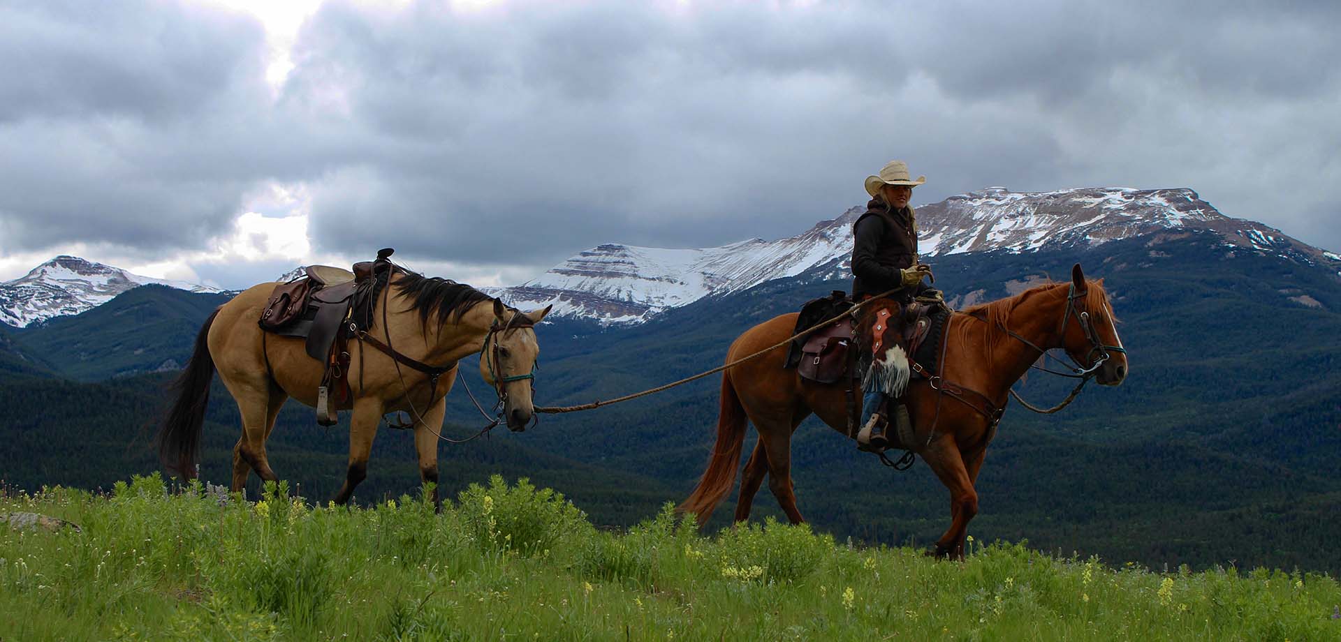 Job Openings Wrangler in Backcountry Photo