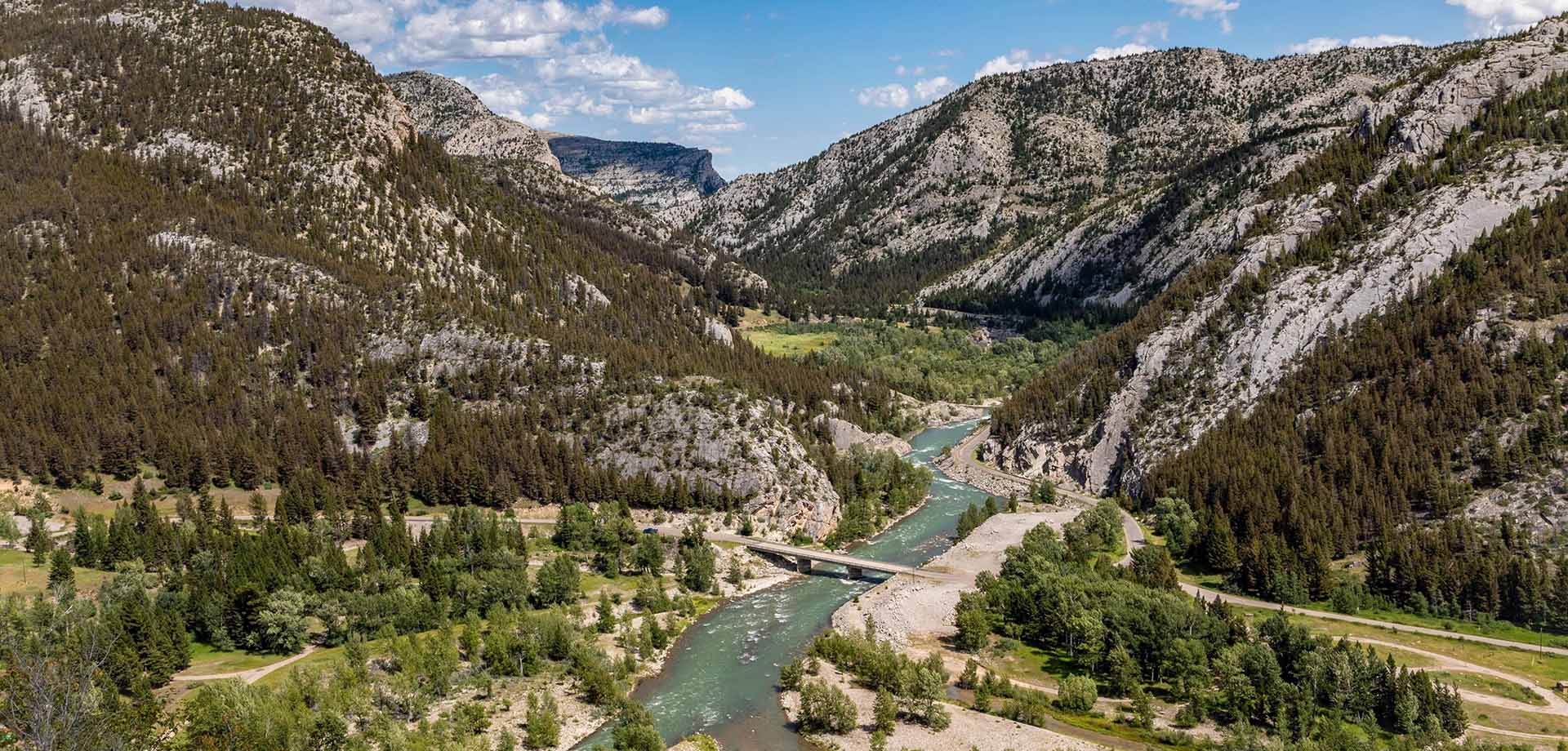 Location Overlooking Canyon Peacock