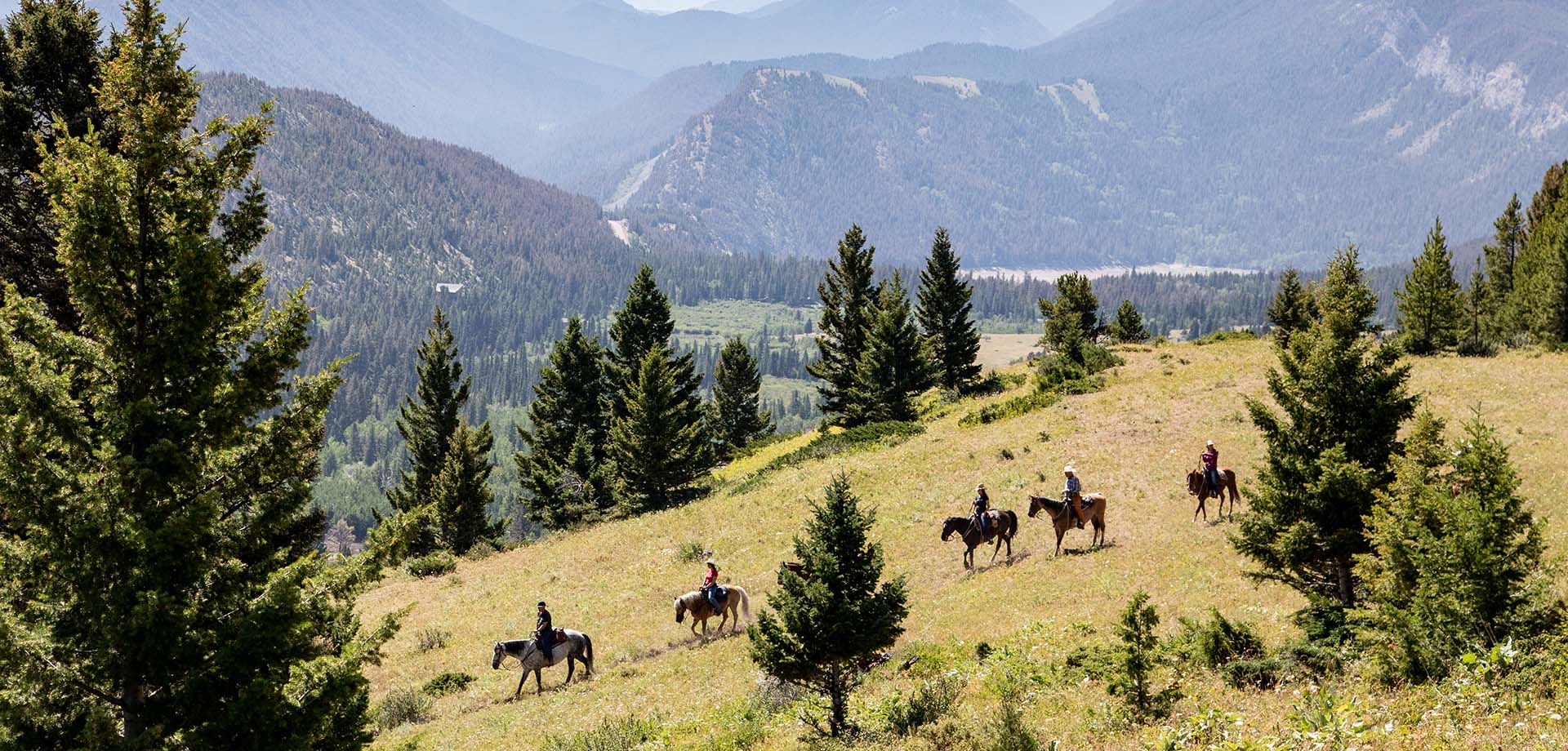 Ranch Activities Trail Riders at Wedding