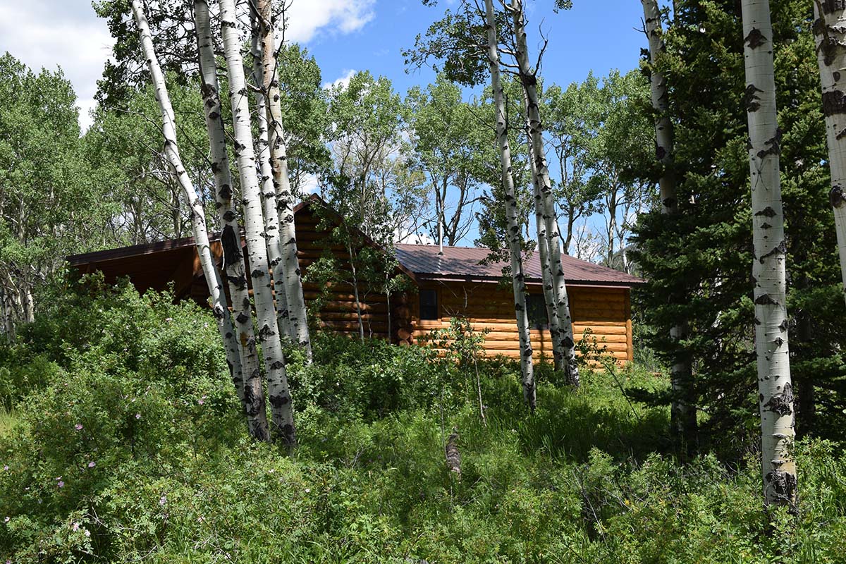 Saddlehorn Cabin 1