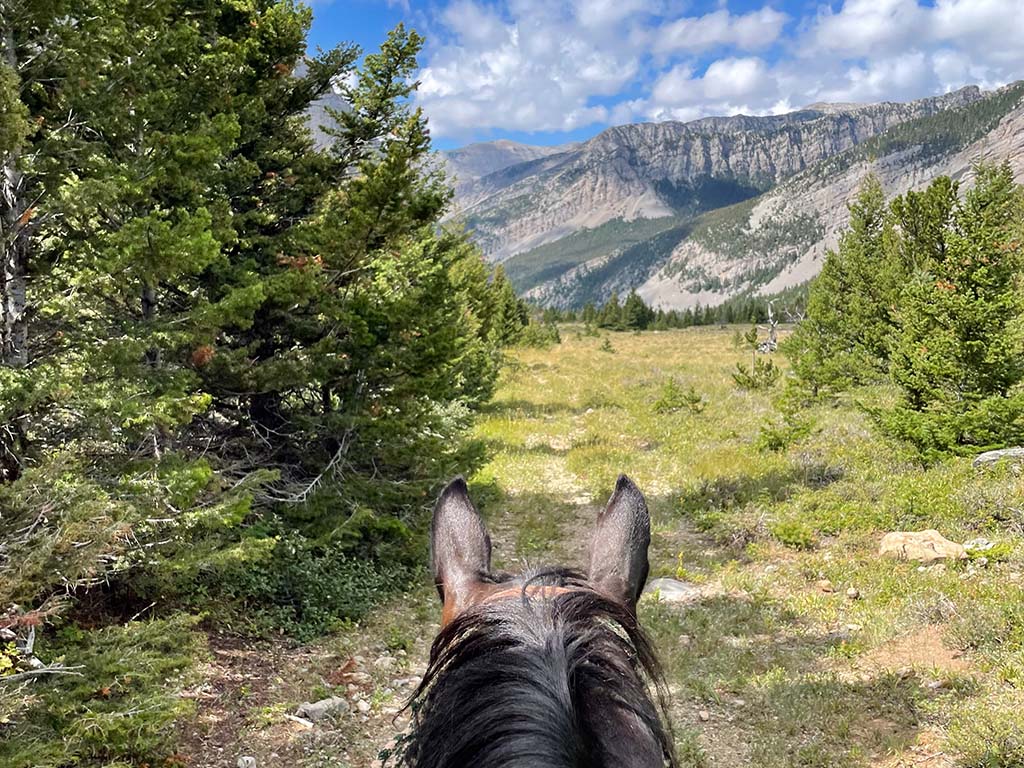 Montana Pack Trips at Triple J Ranch - Riding at Deep Creek in the Bob Marshall Wilderness
