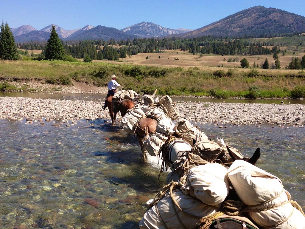 Montana Wilderness Pack Trips - Pack String Crossing River